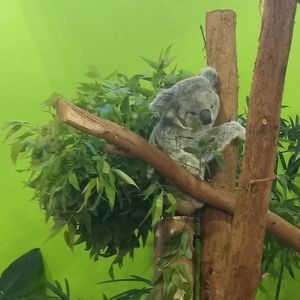 Meet your Posher, Ashleigh